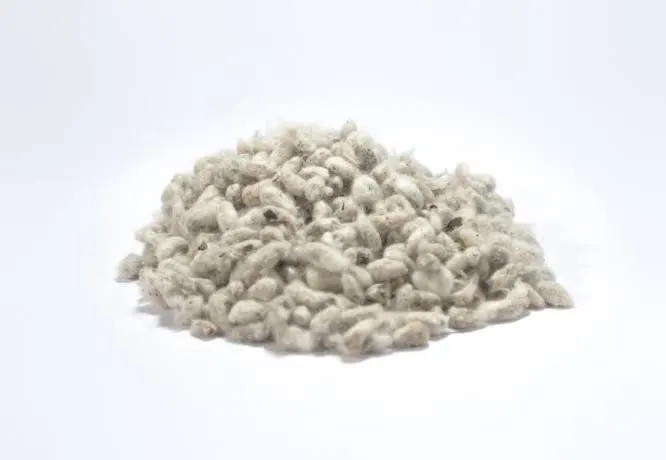 Cottonseed pretreatment illustration