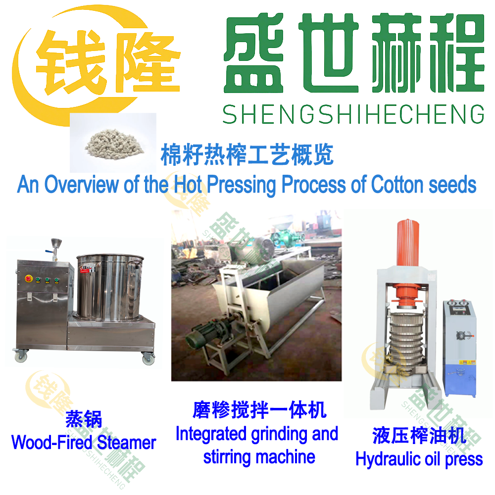 Cottonseed hot pressing process overview diagram